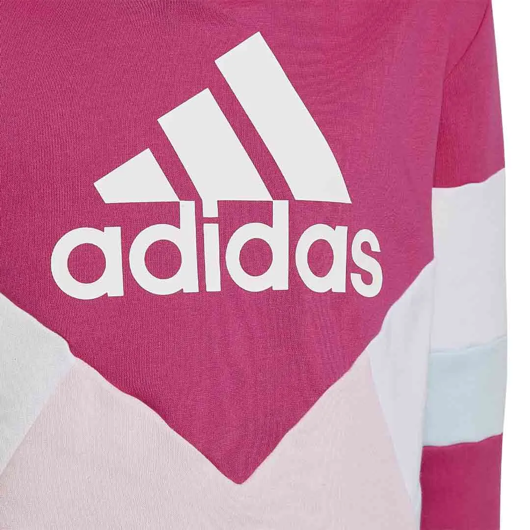 adidas - Kids' (Junior) Colourblock Fleece Hoode (HN8554)