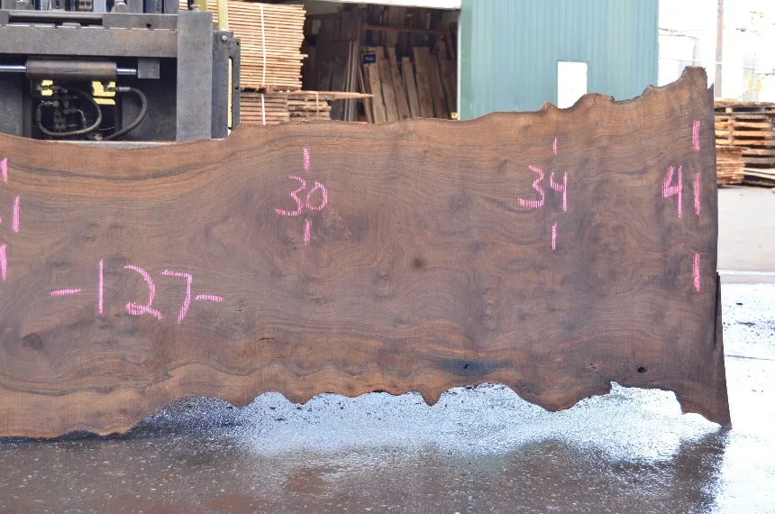 Oregon Black Walnut Slab 040122-10