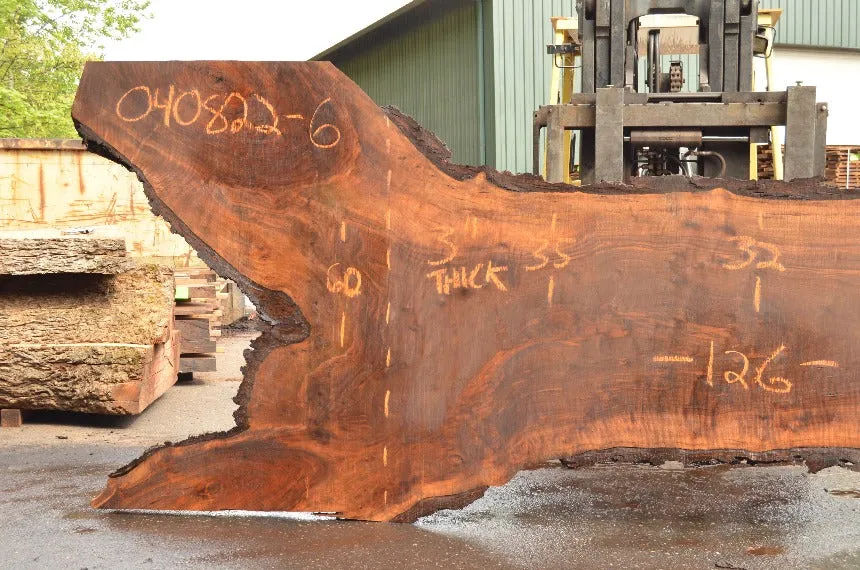 Oregon Black Walnut Slab 040822-06