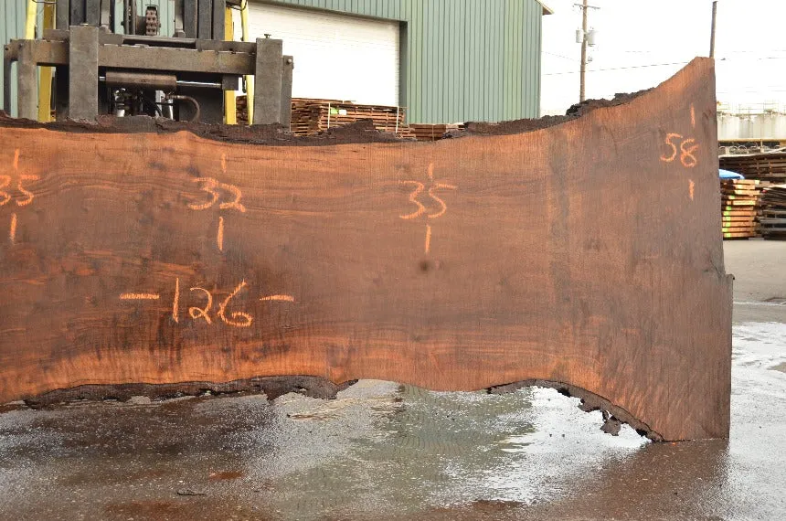 Oregon Black Walnut Slab 040822-06